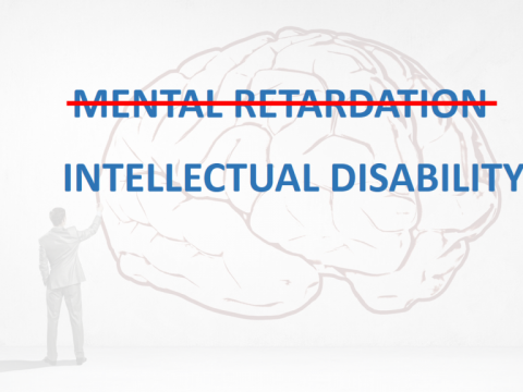 INTELLECTUAL-DISABILITY