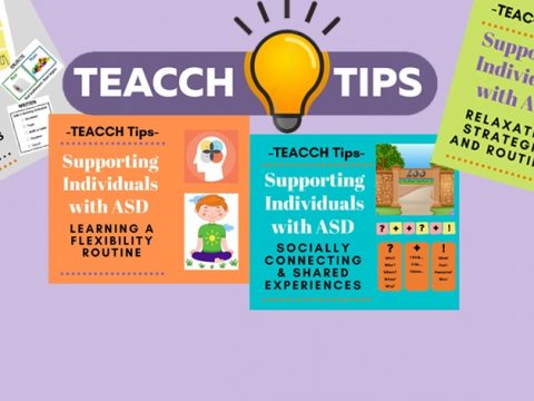 teacch-tips